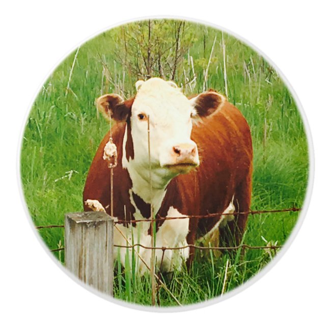 Pomo De Cerámica Cute Brown Cow 4Jojo (Anverso)