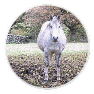 POMO DE CERÁMICA CUTE HORSE