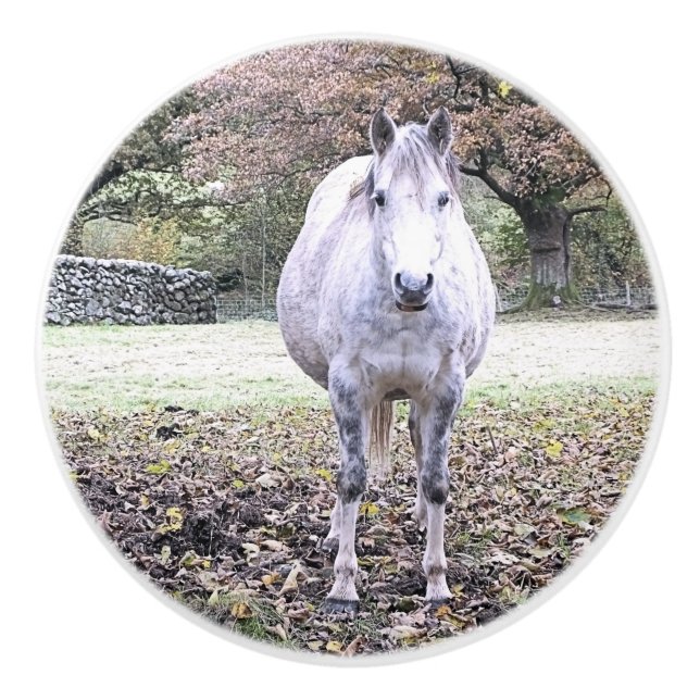 POMO DE CERÁMICA CUTE HORSE (Anverso)