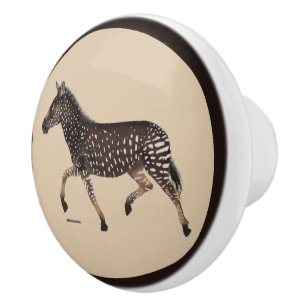 Pomo De Cerámica Cute Polka Dot Zebra Cerámica Knob