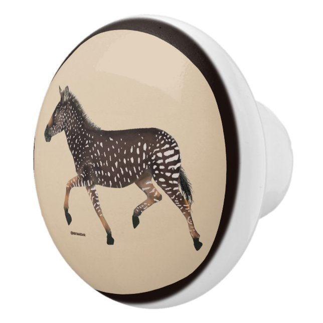 Pomo De Cerámica Cute Polka Dot Zebra Cerámica Knob (Derecha)
