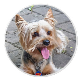 Pomo De Cerámica Cute Terrier