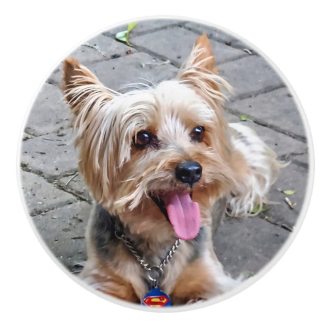 Pomo De Cerámica Cute Terrier (Anverso)