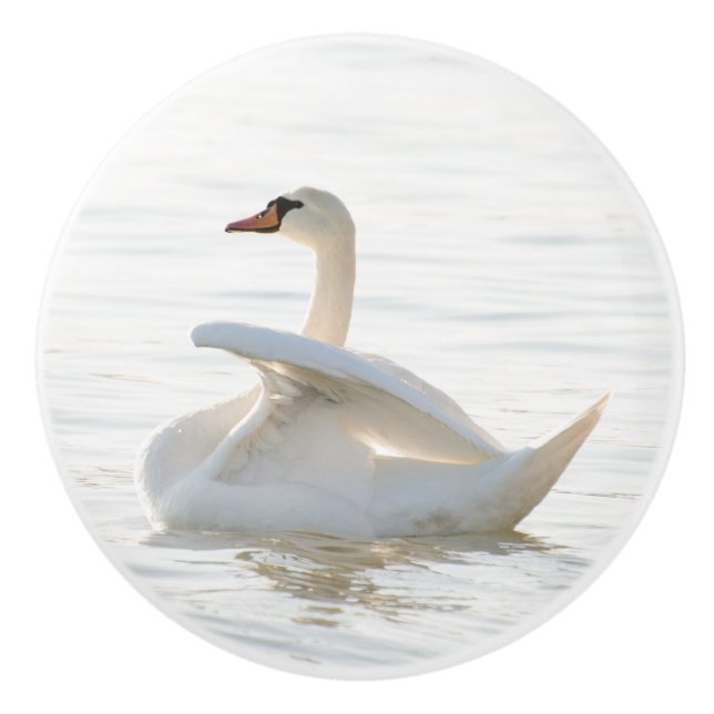 Pomo De Cerámica Cygnus cisne blanco (Anverso)