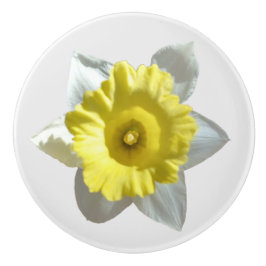 Pomo De Cerámica Daffodil blanco 