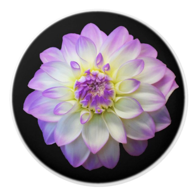 Pomo De Cerámica Dahlia en la Knob de Cerámica Negra (Anverso)