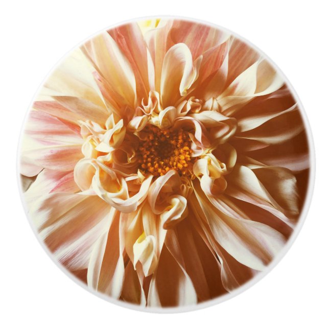 Pomo De Cerámica Dahlia rosa pálido (Anverso)