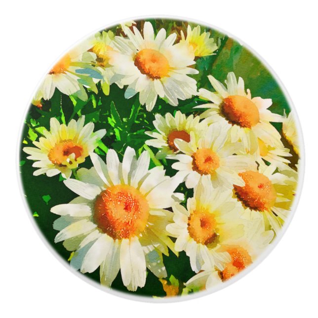 Pomo De Cerámica Daisies Watercolor (Anverso)