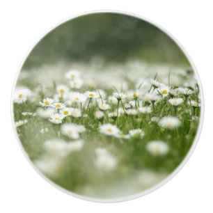 Pomo De Cerámica Daisy Meadow