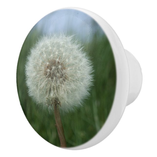 Pomo De Cerámica Dandelion Seedhead Dresser Knob (Derecha)