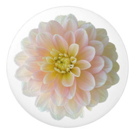 Pomo De Cerámica Day Dreamer Waterlily Dahlia