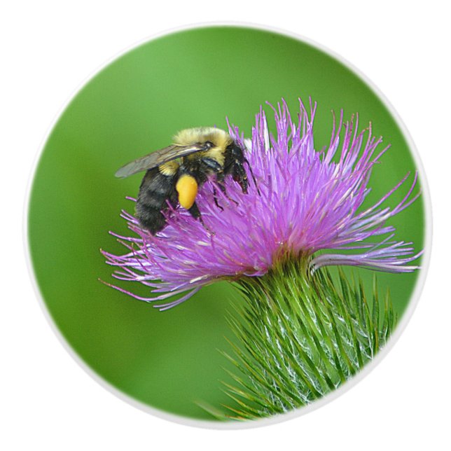 Pomo de cerámica de abeja y silbato (Anverso)