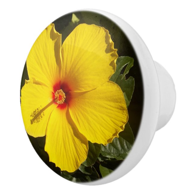Pomo de cerámica de flores amarillo hibiscus (Derecha)