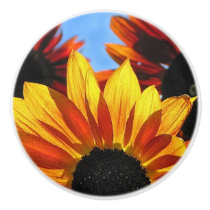 Pomo de cerámica de girasol rojo y amarillo