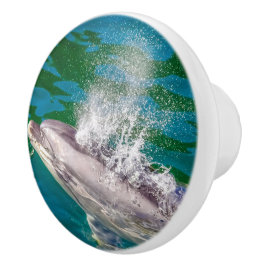 Pomo De Cerámica Delfín En Milford Sound, Nueva Zelanda