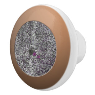 Pomo De Cerámica Detalles de la Geología Gray Granite Rosa