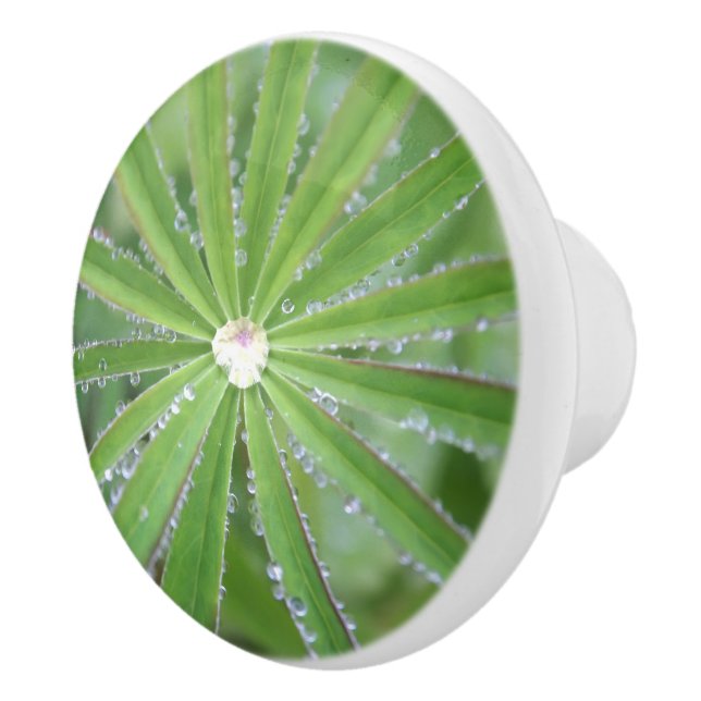 Pomo De Cerámica Dewdrop (Derecha)