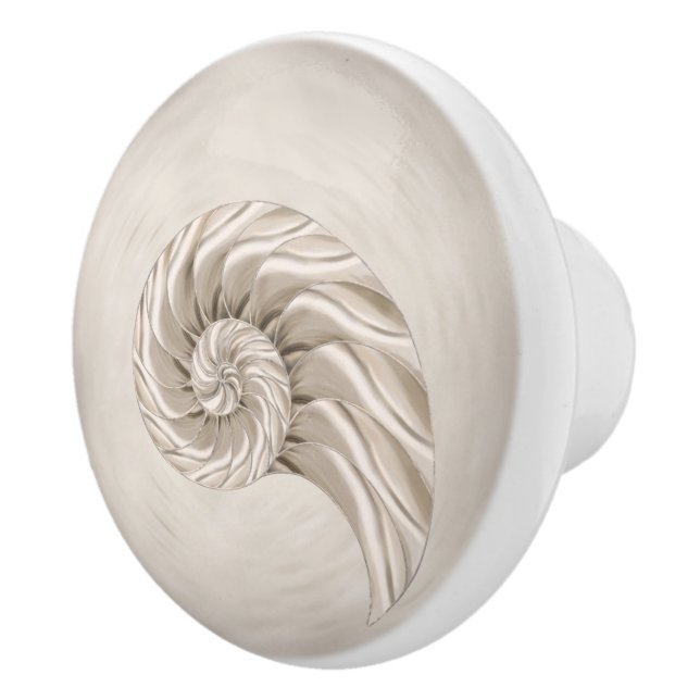 Pomo De Cerámica Dibujo de la shell de Nautilus (Derecha)