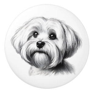 Pomo De Cerámica Dibujo de perro maltés