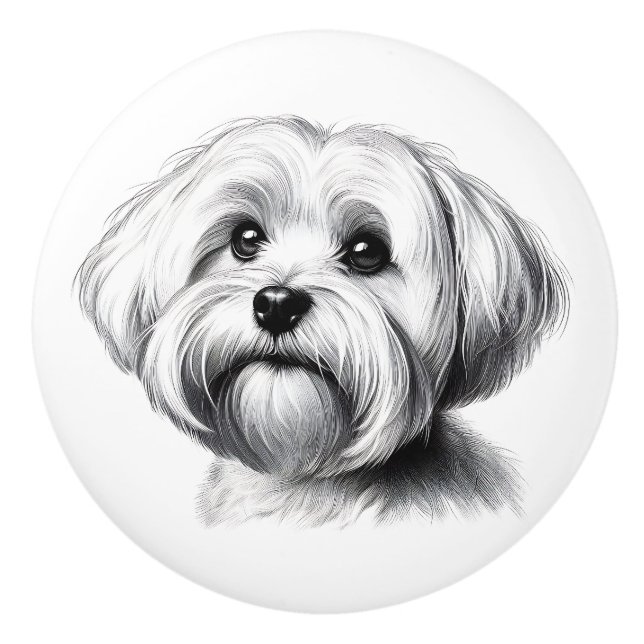 Pomo De Cerámica Dibujo de perro maltés (Anverso)