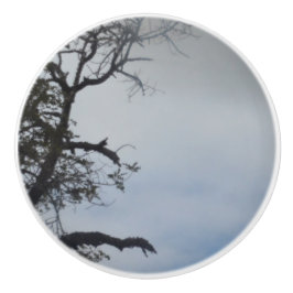 POMO DE CERÁMICA DISEÑO DE ESTILO CERAMIC DE LA PUERTA