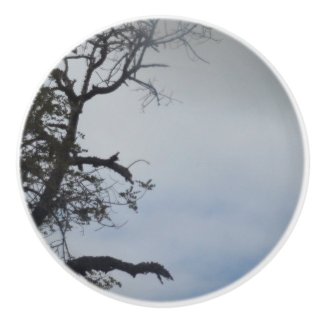 POMO DE CERÁMICA DISEÑO DE ESTILO CERAMIC DE LA PUERTA (Anverso)