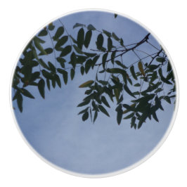 POMO DE CERÁMICA DISEÑO DE ESTILO CERAMIC DE LA PUERTA