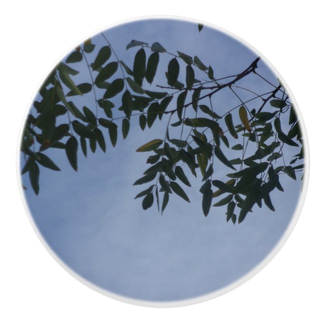 POMO DE CERÁMICA DISEÑO DE ESTILO CERAMIC DE LA PUERTA (Anverso)