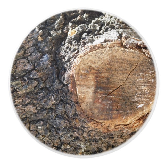 Pomo De Cerámica DISEÑO DE ESTILO DE ARTE DE extracción de cerámica (Anverso)