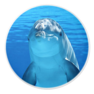 Pomo De Cerámica Dolphin Bottlenose mira la cámara bajo el agua