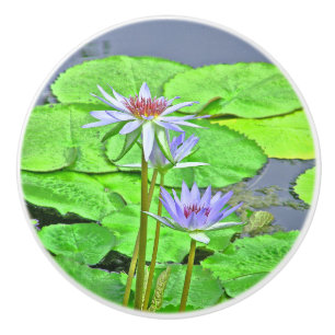 POMO DE CERÁMICA DOS LOTUS BLOSSOMS Y PADS VERDE LILY