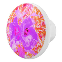 Pomo De Cerámica Dos púrpura y picante ciruela loca Hibiscus