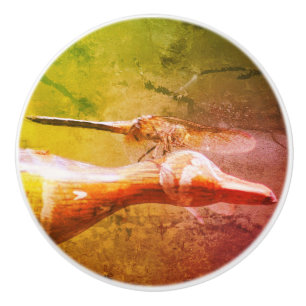Pomo De Cerámica Dragonfly Co Pilot Insact Abstract Grunge 