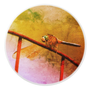 Pomo De Cerámica Dragonfly On Wire Fence Abstract Grunge