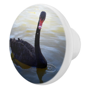 Pomo De Cerámica Dropletas De Cisne Negro En El Estanque,