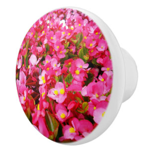 Pomo De Cerámica Dropletas Rosadas De Primavera, Begonia,