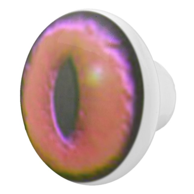 Pomo De Cerámica Eerie Cat Eyeball (Derecha)