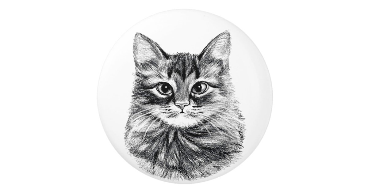 Pomo De Ceramica El Cajon De La Cara Del Gato Del Dibujo De Lapiz Zazzle Es