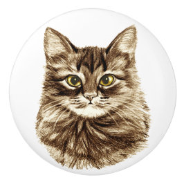 Pomo De Cerámica El cajón de oro del armario del gabinete del gato