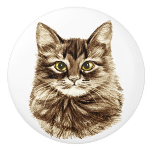 Pomo De Cerámica El cajón de oro del armario del gabinete del gato