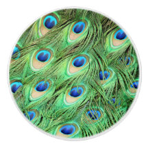 El cajón verde del pájaro de las plumas del pavo