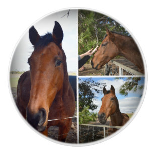 Pomo De Cerámica El Collage de los caballos Marrones,