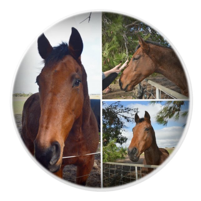 Pomo De Cerámica El Collage de los caballos Marrones, (Anverso)