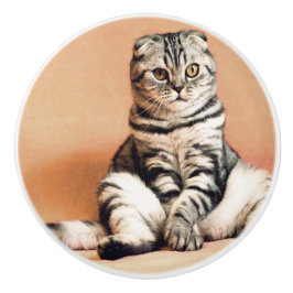 Pomo De Cerámica El Gatito Cute Se Extiende