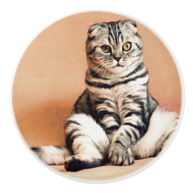 Pomo De Cerámica El Gatito Cute Se Extiende (Anverso)