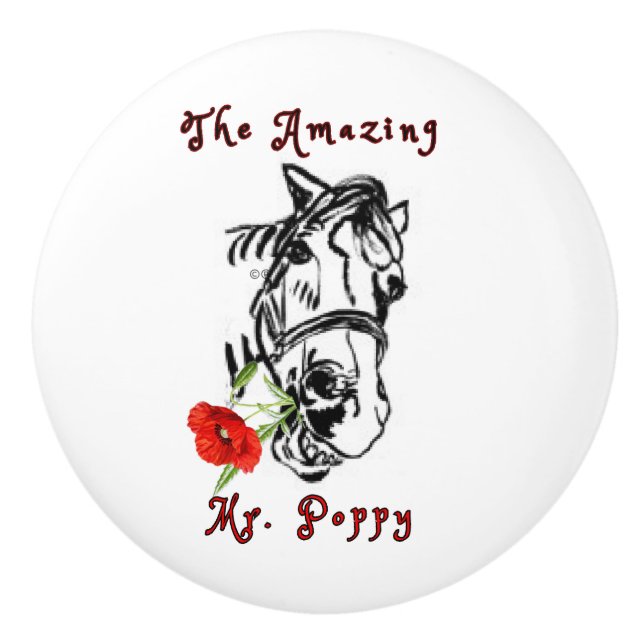 Pomo De Cerámica EL INCREÍBLE SR. Extracción de cerámica POPPY (Anverso)