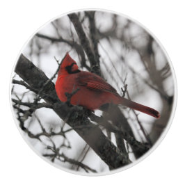 Pomo De Cerámica El Sr.