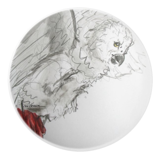 Pomo De Cerámica ¡El Sr. Feathers Toma Una Postura! (Anverso)