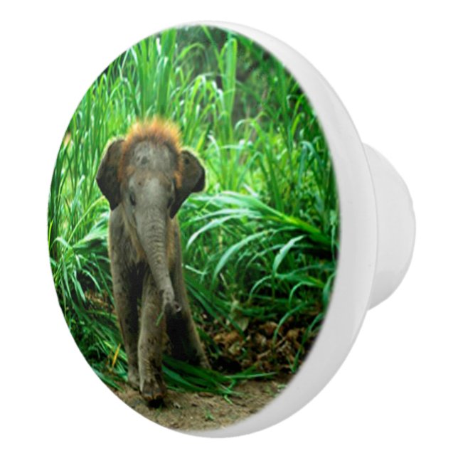 Pomo De Cerámica Elefante e hierba (Derecha)