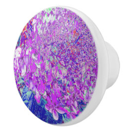 Pomo De Cerámica Elegante Hortensia Limelight Púrpura y Azul